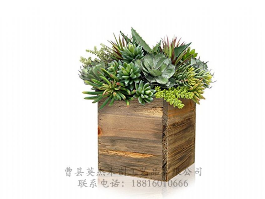 點(diǎn)擊查看詳細(xì)信息<br>標(biāo)題：木制花盆 閱讀次數(shù)：1210